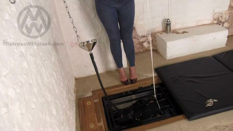 MistressWhiplash: Bodybagged Slave Tortured In The Pit