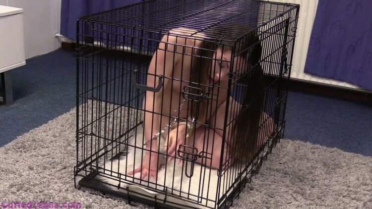 CuffedTeens: Adele - Pet Play In The Small Cage