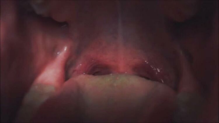 ManyVids - MarySweeeet - MOUTH RESEARCHES 9