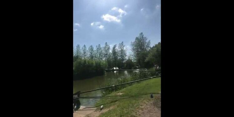 Onlyfans - Torilee - Walking my dog checking out the fishing men - 26-05-2017