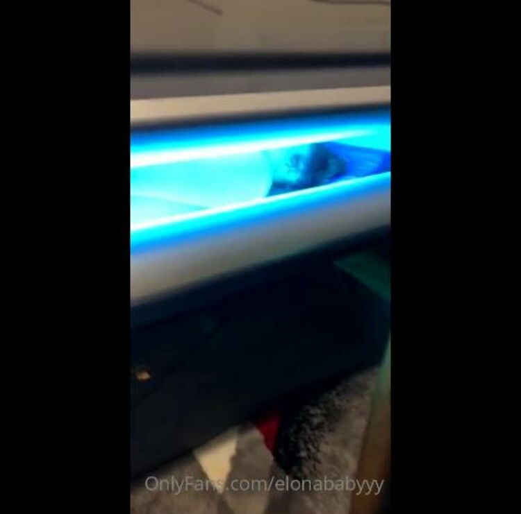 Onlyfans - Elonababyy - Why they sneak up on me like that in the tanning bed - 07-05-2020