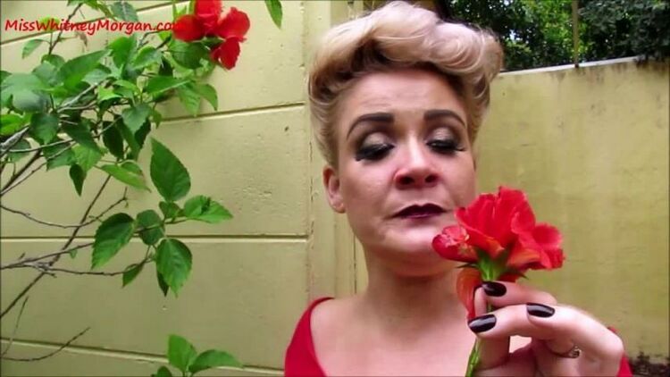 ManyVids - MissWhitneyMorgan - Whitney Morgan Stop and Sneeze The Flowers