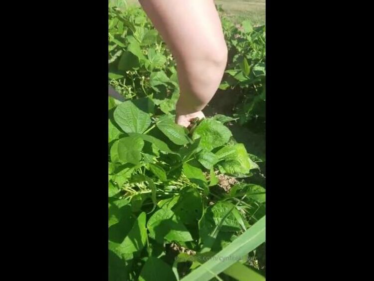 Onlyfans - Cynthiatazer - gardening how do you like to cook your green beans - 20-08-2019