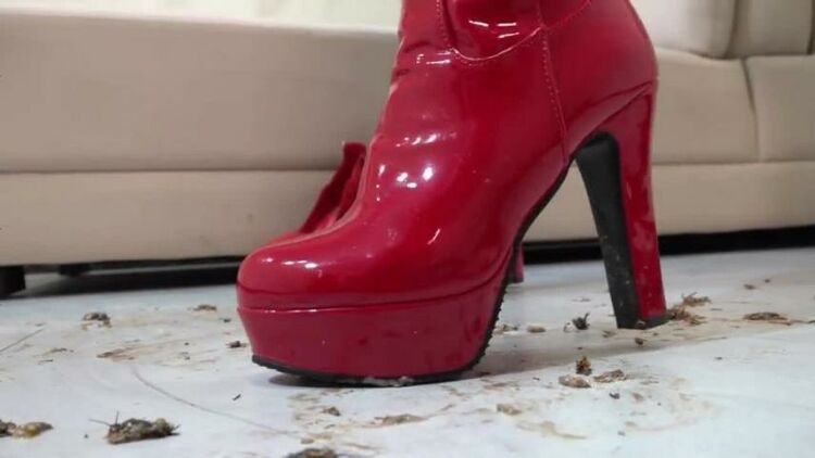 BootsShoesVideos002816