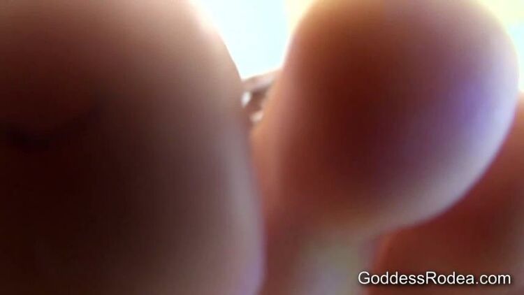 Goddess Rodea – Basement Cuckold