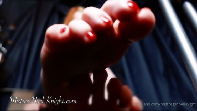 Mistress Noel Knight / Onlyfans Mistressnoelknight - this foot fetish friday youll be worshiping my toes from the cage in my dungeon 15-10-2021 - Riding