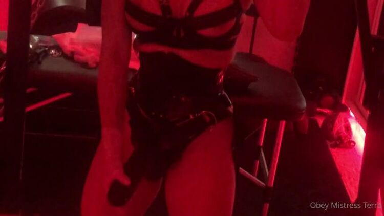 Mistress Terra - obeymistressterra / Onlyfans Obeymistressterra - whats everyone doing today thinking about getting pgged i bet as always im 30-03-2021 - Fetish