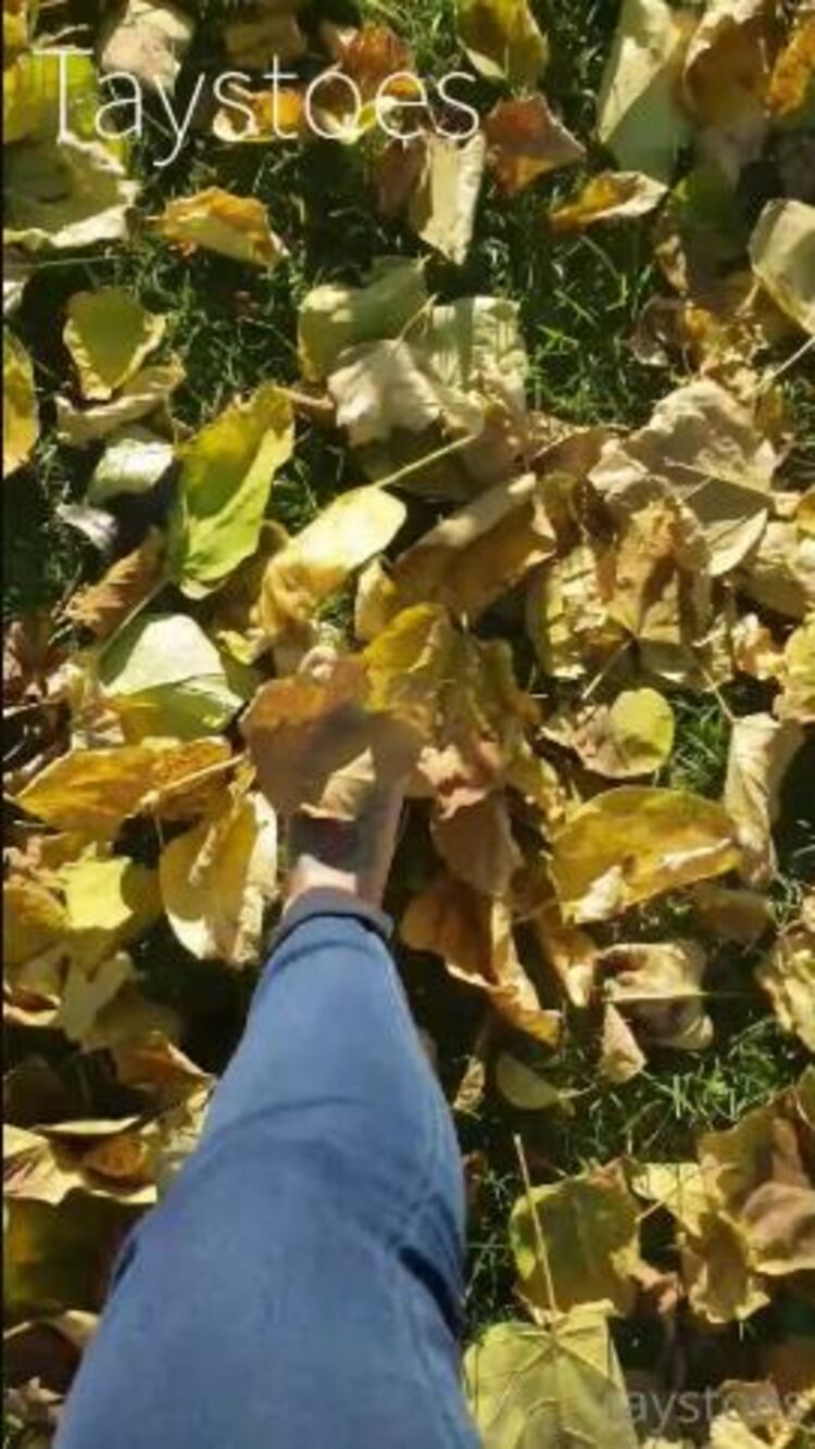 Taystoes / Onlyfans - barefoot leaf crushing i filmed this last week and it just didnt come out as go 11-11-2020 - Foot