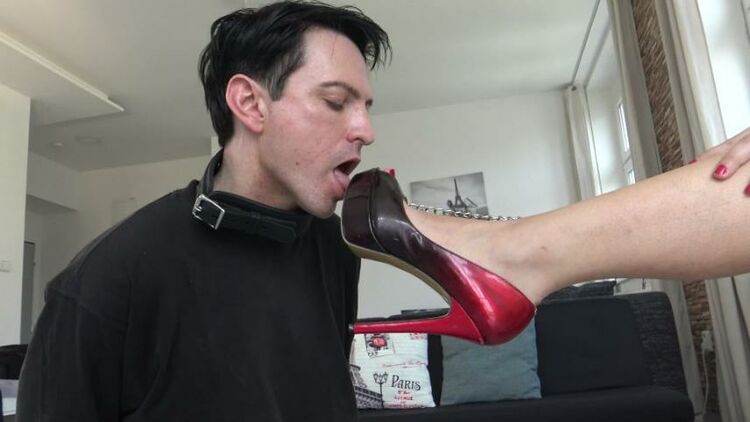 Femdom Austria – Mistress Shoe And Foot Cleaner – Fetish, Footworship