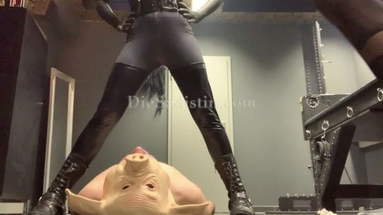 Die Sadistin – Ballbusting Inferno Zu Karneval [Nat, Ball Abuse, Ballbusting, Balls Busting, k2s.cc, femdom online, download]