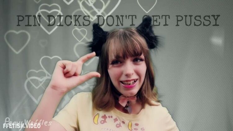 ‘Pin Dicks Don’t Get Pussy’ of ‘PervyWaffles’ studio [Dirty Talk, JerkOff]