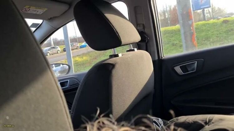 PornSexLove - krasse Aktion - Blowjob im Taxi [FullHD 1080P]