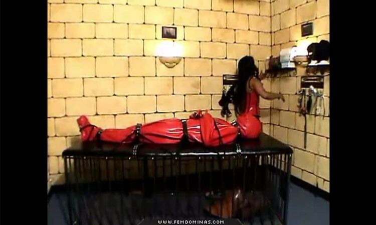 Syren Productions Full Movies Store: Mistress Ariana - Latex Punishment Session