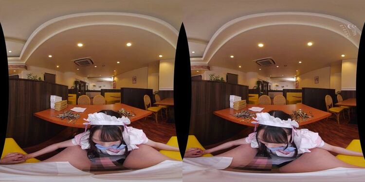 HUNVR-089 B - Japan VR Porn