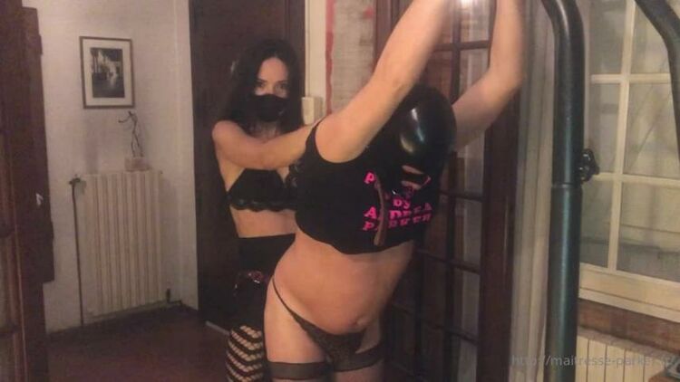 Maitresse Parker — My Alpha Accomplice Is Trying My Puterelle! Part 2