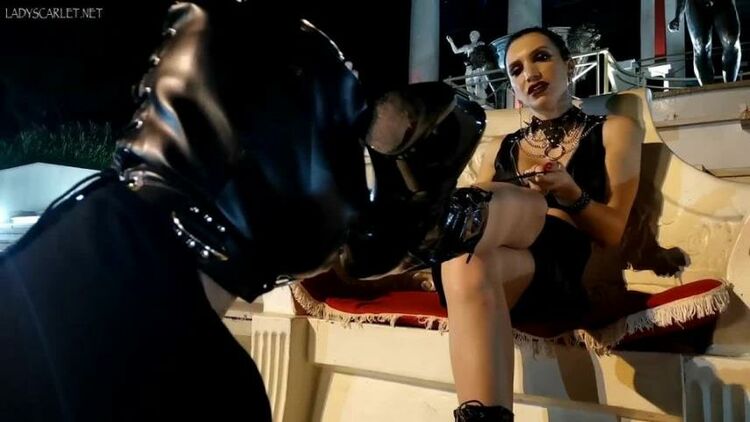 Lady Scarlet – Boot worship at the party – Femdom, Bootlicking