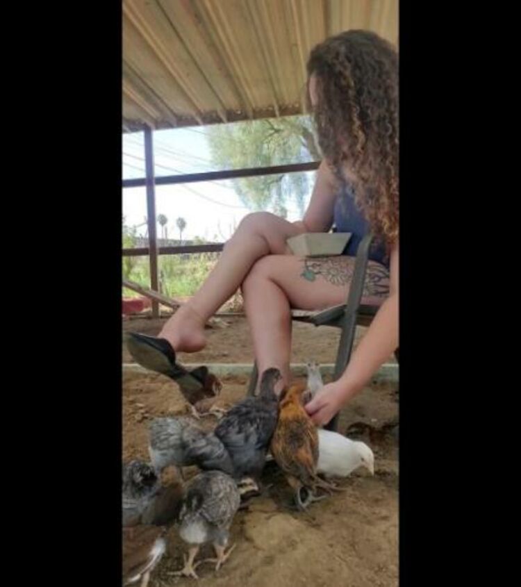 Girl next door dangles flats while feeding her chickens