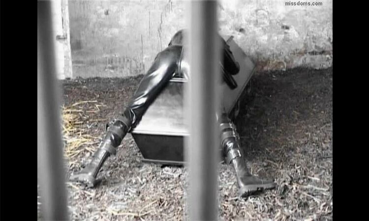 Boot worship Evsfetishfemdom - Mistress Cynthia - The insufficient slave on anal porn goddess harley femdom