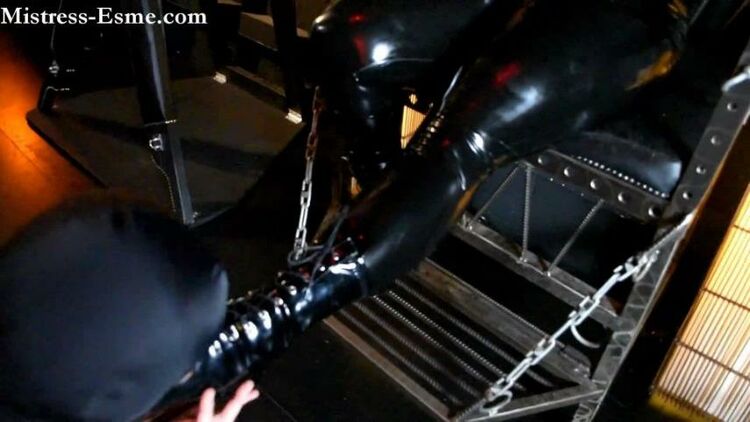 Boot worship Polish my boots with your tongue