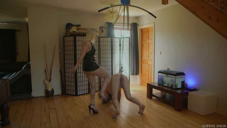 Sophie Shox – Suspended By The Fucking Balls On Hands And Knees! – Ballbusting, Cbt