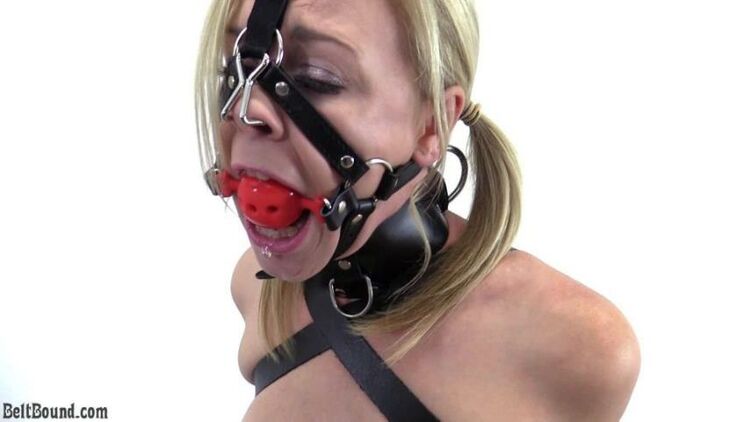 Lucy Lauren - Armbinder and hose hook harness gag