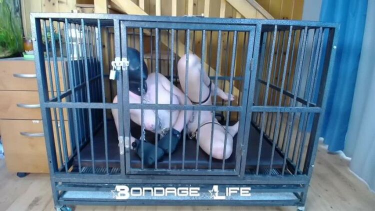 BondageLife - Cage Time With Clamps Rachel Greyhound