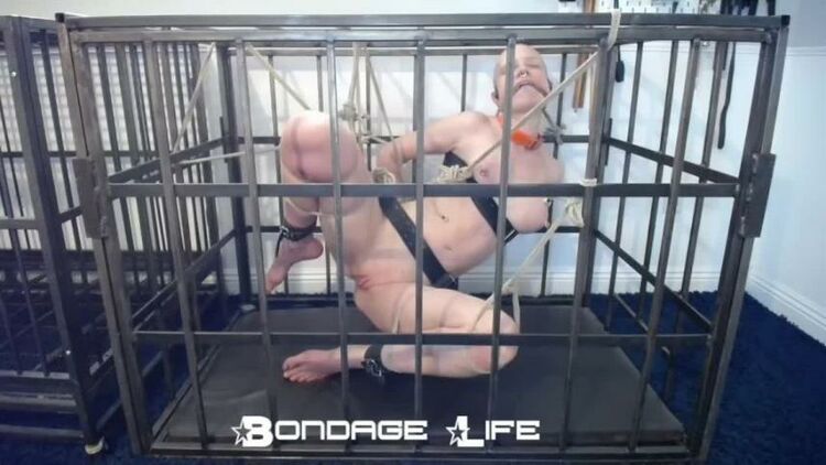 Bondage Life – Cage Time With Greyhound (Rope Edition) – 11/22/2021