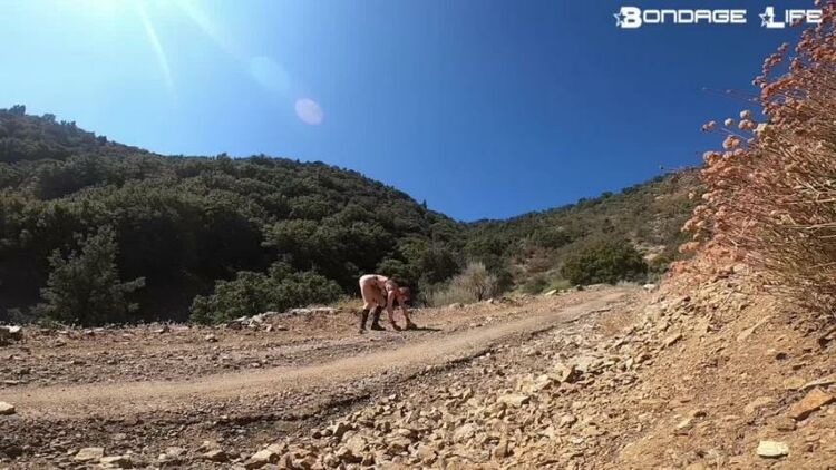 BondageLife - Road Maintenance - Rachel Greyhound