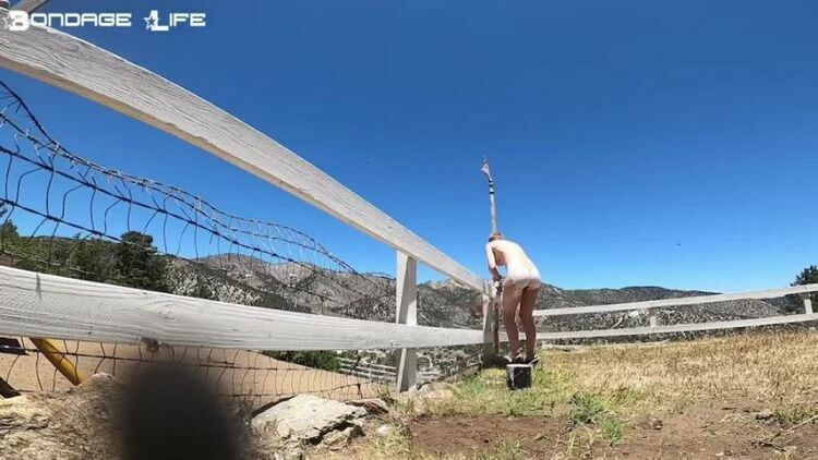 Rachel Greyhound - Painting Fences (HD) [updated: 2023-05-07]