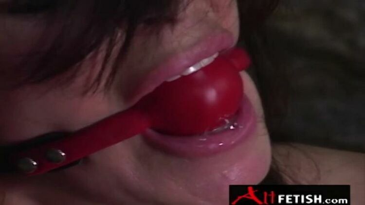 AltErotic.17.02.28.Ashley.Renee.In.A.Hot.Bdsm.Scene.XXX.720p.HEVC.x265.PRT [updated: 2023-10-08]