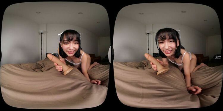 CAIM-009 - Virtual Reality JAV [updated: 2023-11-06]