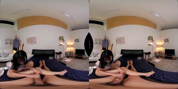 DSVR-1096 D - Virtual Reality JAV [updated: 2023-11-22]