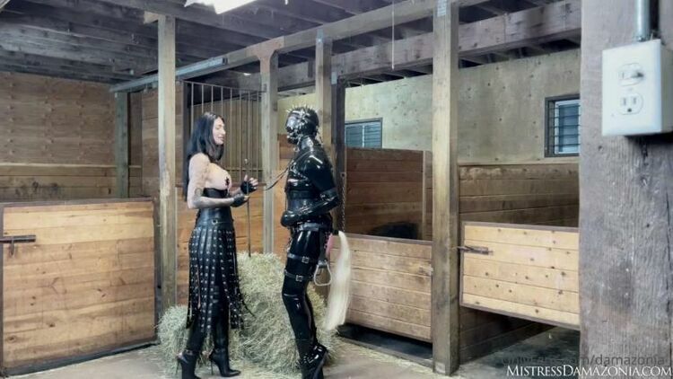 Mistress Damazonia - Turned My Slave Into a Rubber Pony  Who Wants To See How I Train Him [updated: 2023-11-26]