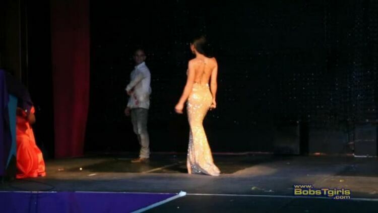 Evening Gown video [updated: 2023-11-28]