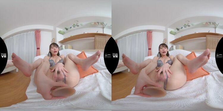 SQTEVR-005 D - Virtual Reality JAV [updated: 2023-12-02]