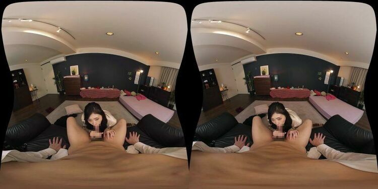 SPIVR-045 A - Virtual Reality JAV [updated: 2023-12-05]