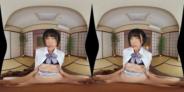 NHVR-206 B - Virtual Reality JAV [updated: 2023-12-07]