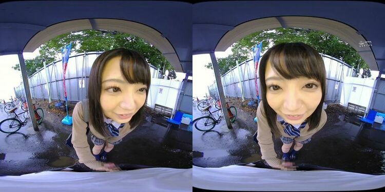 MNSVR-001 D - Virtual Reality JAV [updated: 2023-12-13]