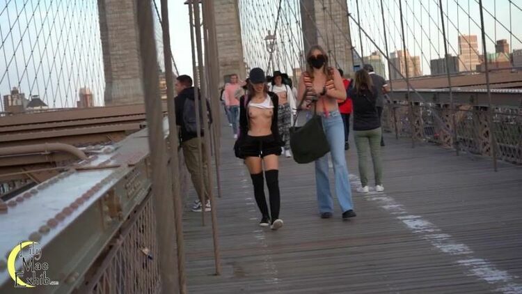 LilyMaeExhib – New York Collaboration Part 3 Brooklyn Bridge [updated: 2023-12-14]