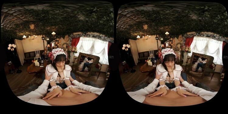 WPVR-210 B - Virtual Reality JAV [updated: 2023-12-15]