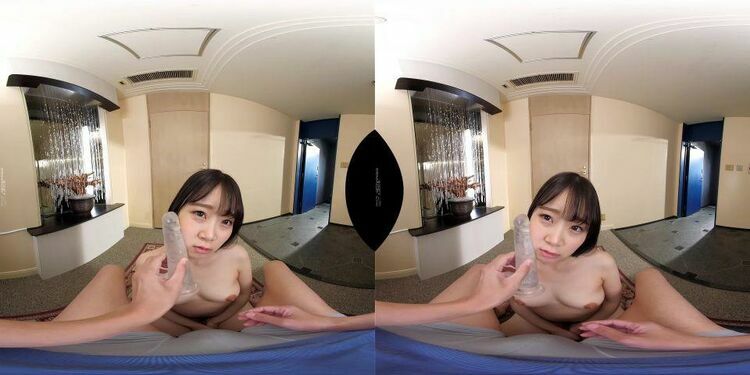 3DSVR-0876 B - Virtual Reality JAV [updated: 2023-12-21]