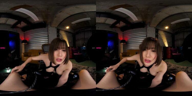 PPVR-015 A - Virtual Reality JAV [updated: 2023-12-27]