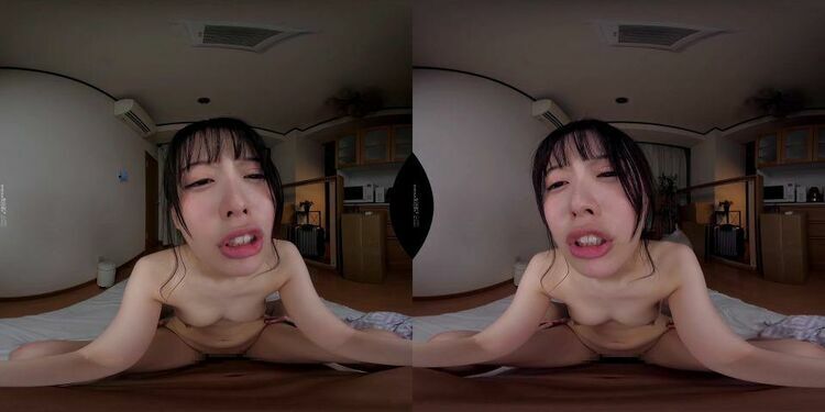 DSVR-1149 C - Virtual Reality JAV [updated: 2024-01-08]