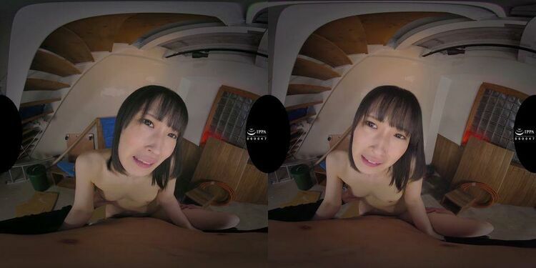 CCVR-083 B - Virtual Reality JAV [updated: 2024-01-09]