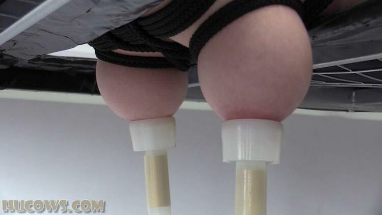 Nora Sparkle - Sayonoraxo) - Stuffed Sensitized And Milked (FullHD) [updated: 2024-01-12]