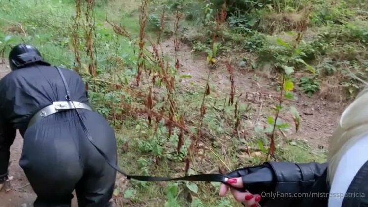 Lady Patricia – A Little Morning Walk In The Woods Develops Into A “Nice” Surprise [updated: 2024-01-20]