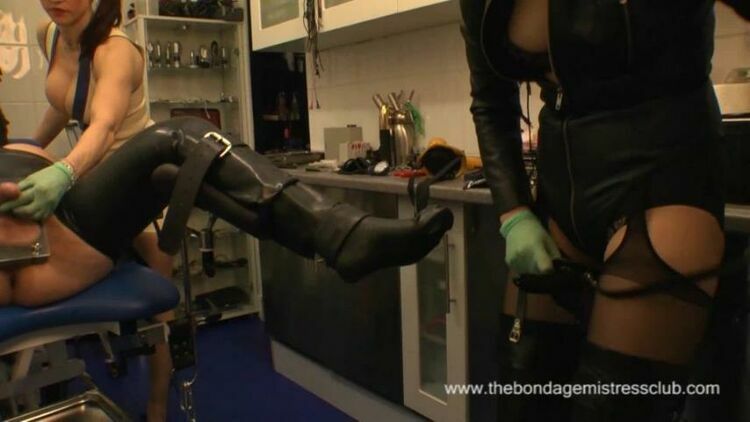 TheBondageMistressClub – reflex retraining part 12 – Femdom [updated: 2024-01-20]