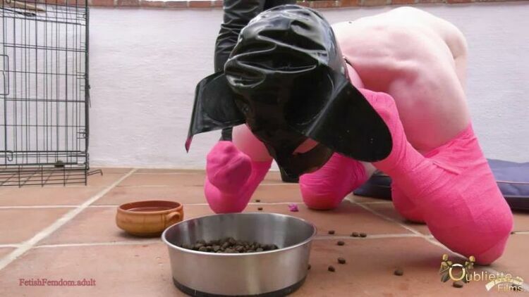 Goddess Gynarchy: Shoe eating Puppy Gets Punished [updated: 2024-01-24]