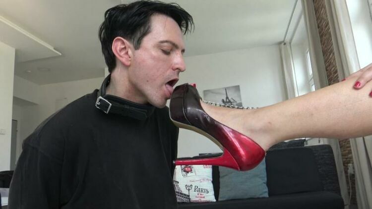 FEMDOM AUSTRIA  — Mistress Shoe And Foot Cleaner [updated: 2024-01-26]