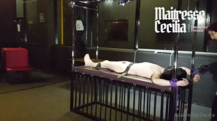 MAITRESSE CECILIA  — Now I Am Going To Destroy The Masculinity Left [updated: 2024-01-27]